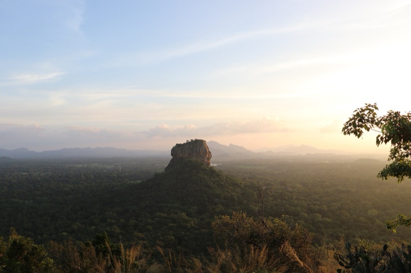 Evening light over Sigiriya Rock and the surrounding forest, seen from Pidurangala, Sri Lanka