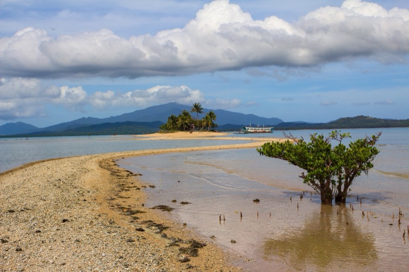 Sandbar and mangrove at Barlas Island in Honda Bay, Puerto Princesa, Palawan