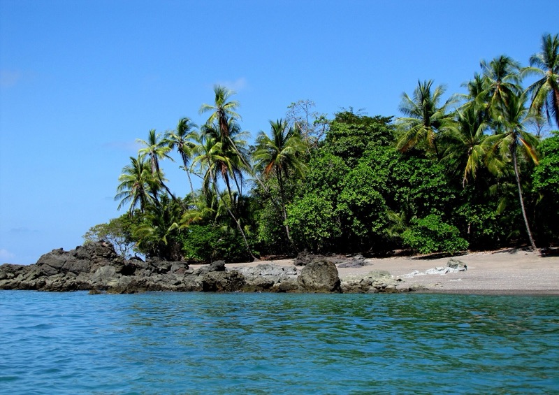 Palm-fringed beach in Corcovado National Park, Osa Peninsula, Costa Rica