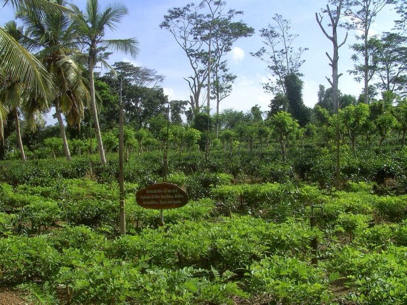 Ahangama, Sri Lanka